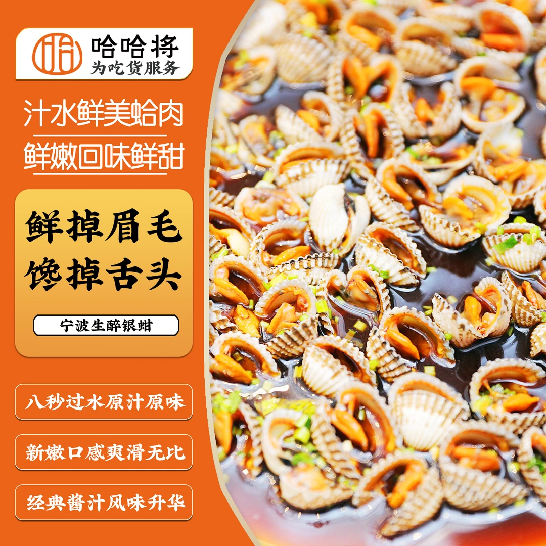 醉银蛤凉拌血蚶醉泥蚶毛蚶醉血蛤生腌血蛤（直播）