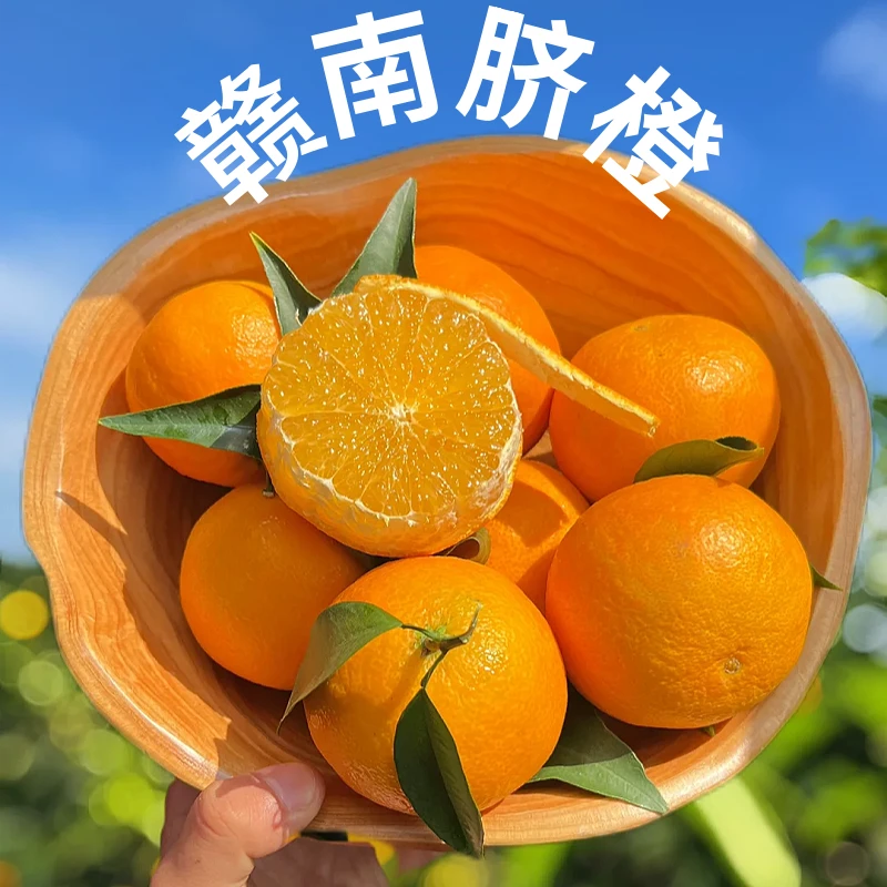 正宗赣南脐橙橙子新鲜当季水果整箱江西赣州产地直发送开橙器