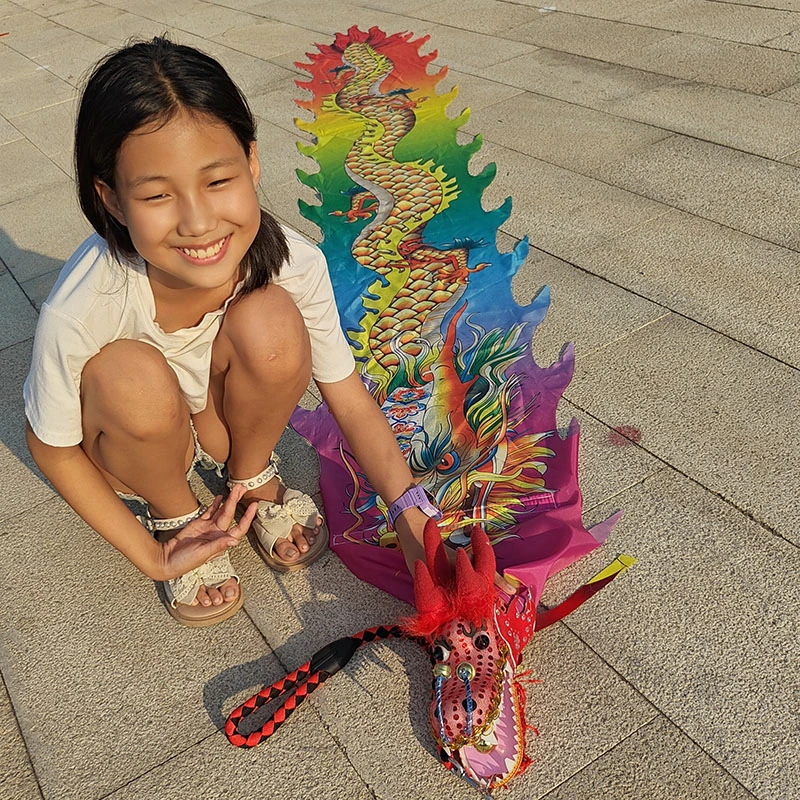 儿童舞龙学校师生表演节3米绳子龙头舞彩带绸全民健身龙带甩彩带