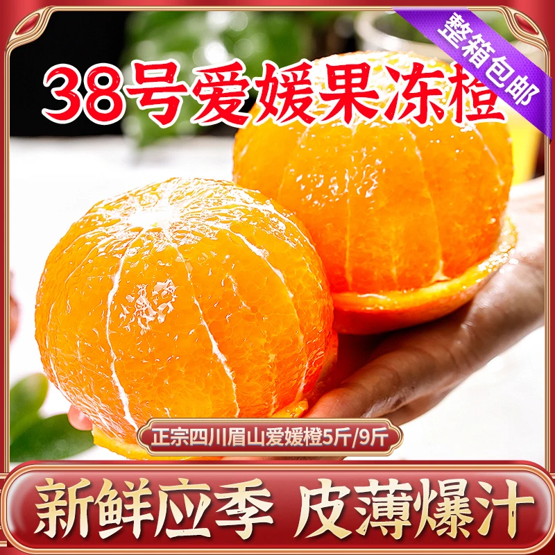 【38号爱媛果冻橙】四川眉山爱媛橙甜橘子 当季新鲜水果5斤/9斤整箱