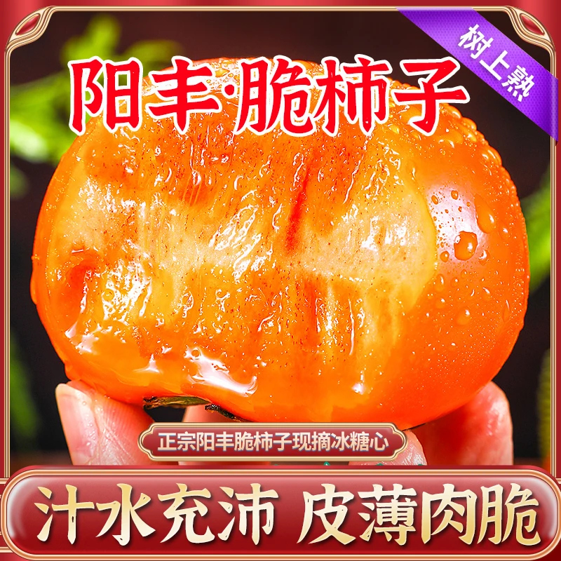【阳丰脆柿子】正宗冰糖心巧克力甜脆柿5斤9斤新鲜水果当季现摘硬柿