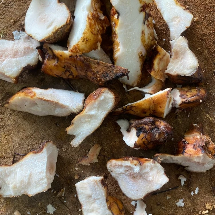 湖南土茯苓干片 自加工 非种植