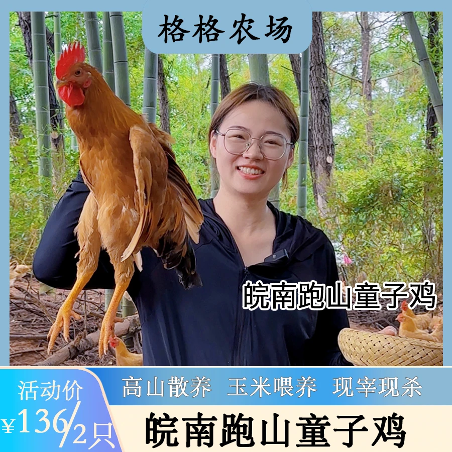 【散养童子鸡】潘格格皖南高山跑山散养小公鸡2只顺丰约1600g现杀