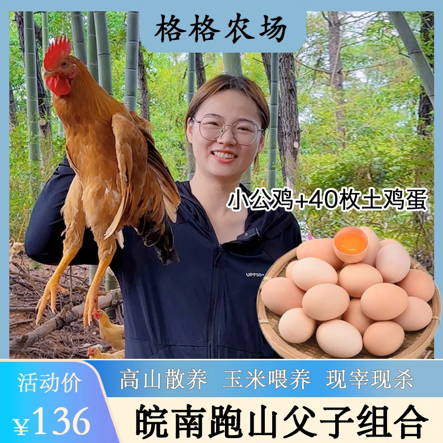 【父子组合】潘格格皖南正宗跑山散养小公鸡+40枚土鸡蛋新鲜美味