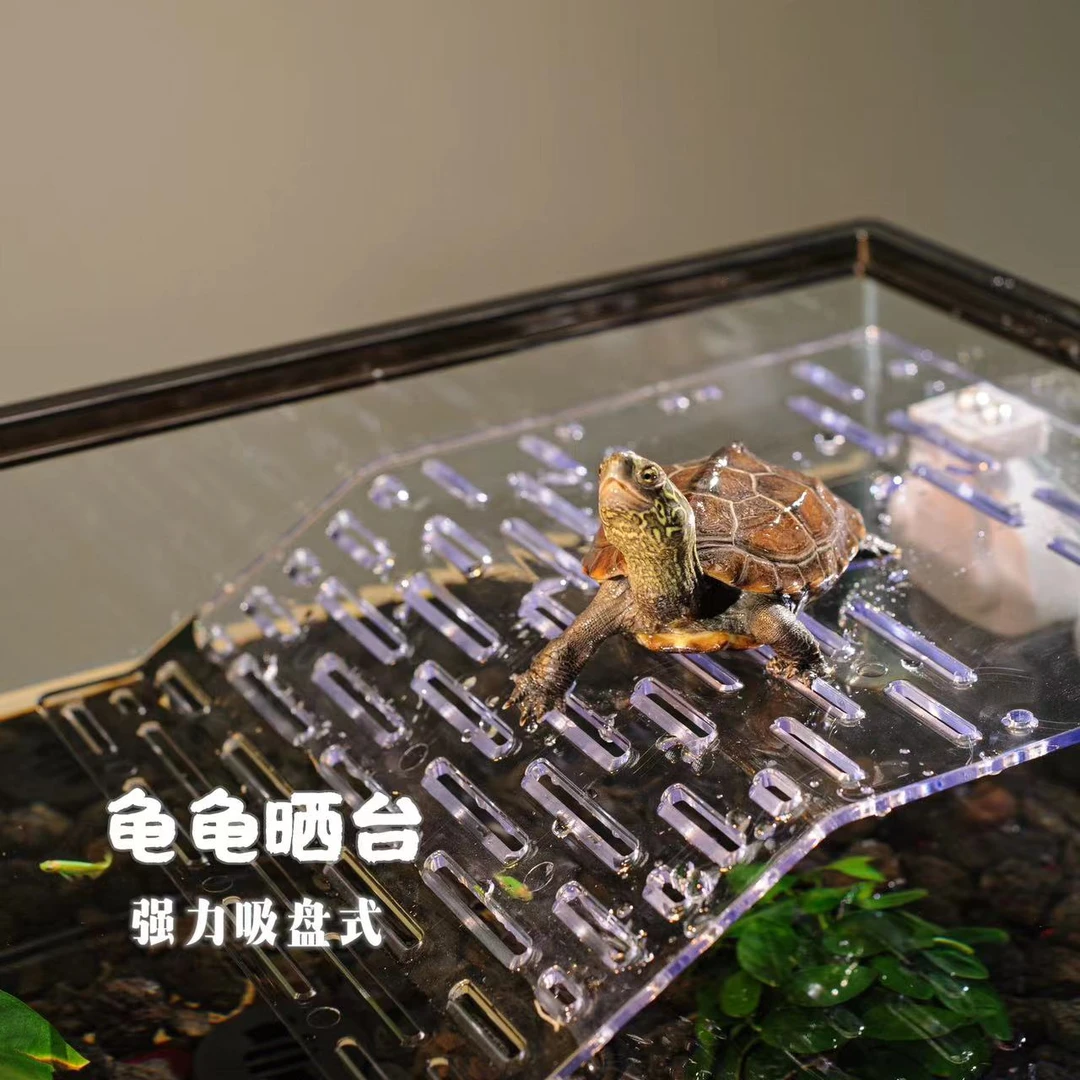 超萌好物乌龟晒台吸盘式强力巴西龟鱼缸浮台高颜值龟缸鱼龟混养缸