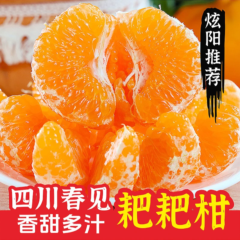 【与辉同行东方甄选】四川春见耙耙柑香甜多汁现摘优质新鲜水果保