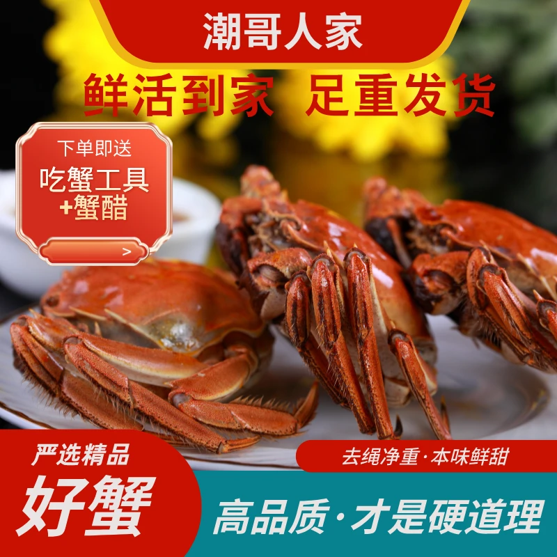 【潮哥人家】严选精品3.3两-3.7两【全母蟹10只】江苏清水大闸蟹