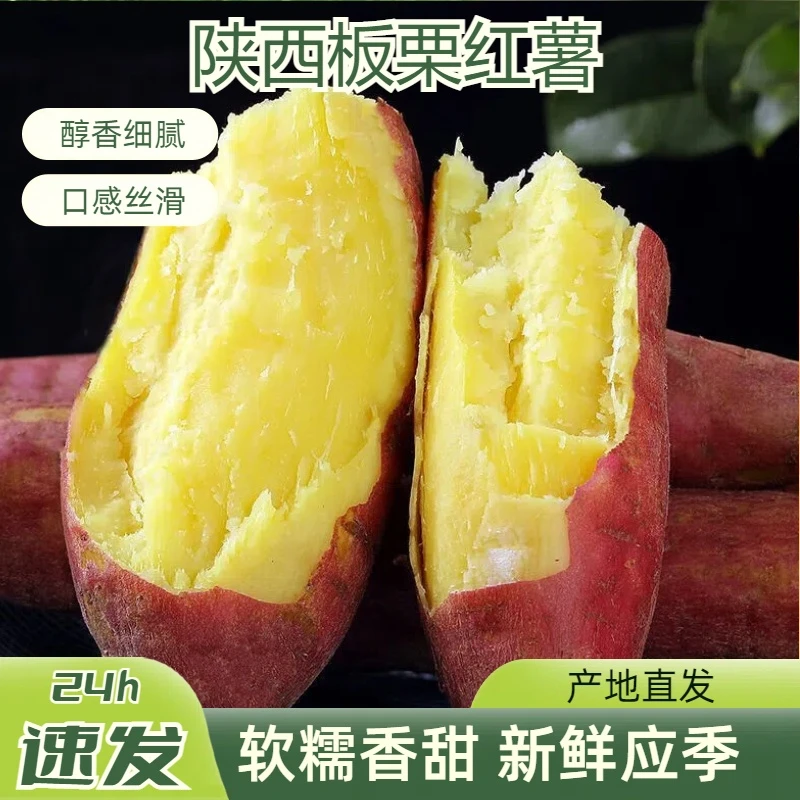 陕西板栗红薯 新鲜蔬菜小香薯桥头地瓜 农家自种沙地板栗薯 香甜