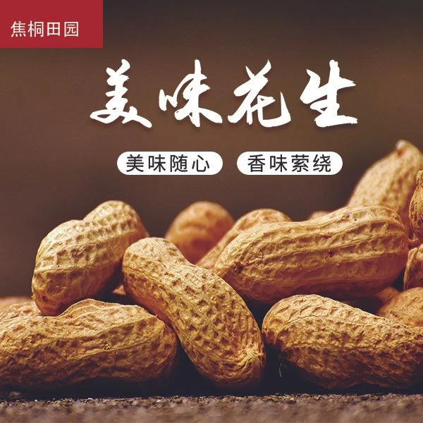 炒花生人工挑选2024年带皮(花生)优质原味开封白沙包邮农家自种