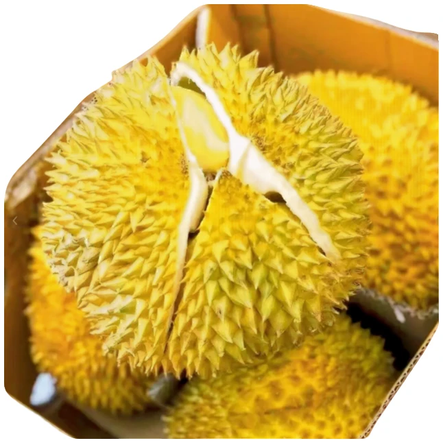 （榴莲小时达）树熟金枕新鲜榴莲鲜果榴莲核小500g同城送金枕泰国