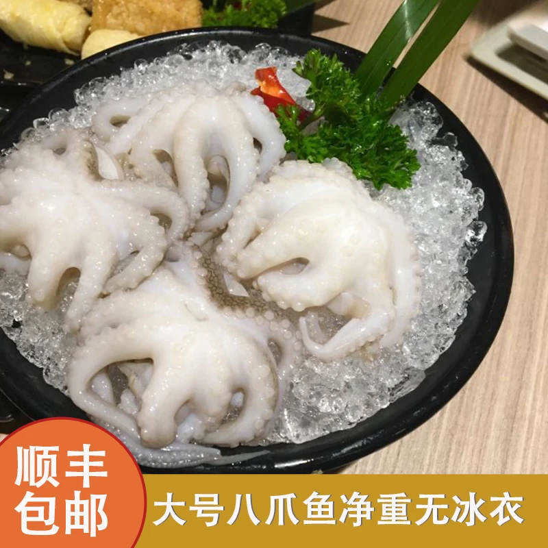 精选鲜活捕捞深海八爪鱼肉质鲜美紧实自然解冻食用方便顺丰包邮
