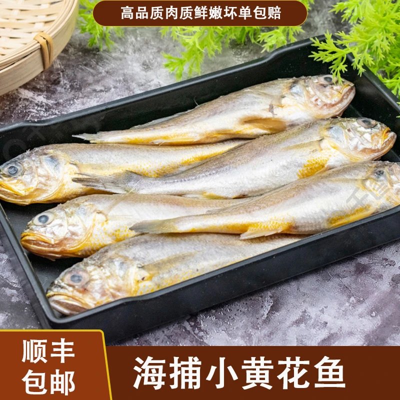 深海捕捞新鲜小黄花鱼肉质鲜嫩美味顺丰冷冻包邮