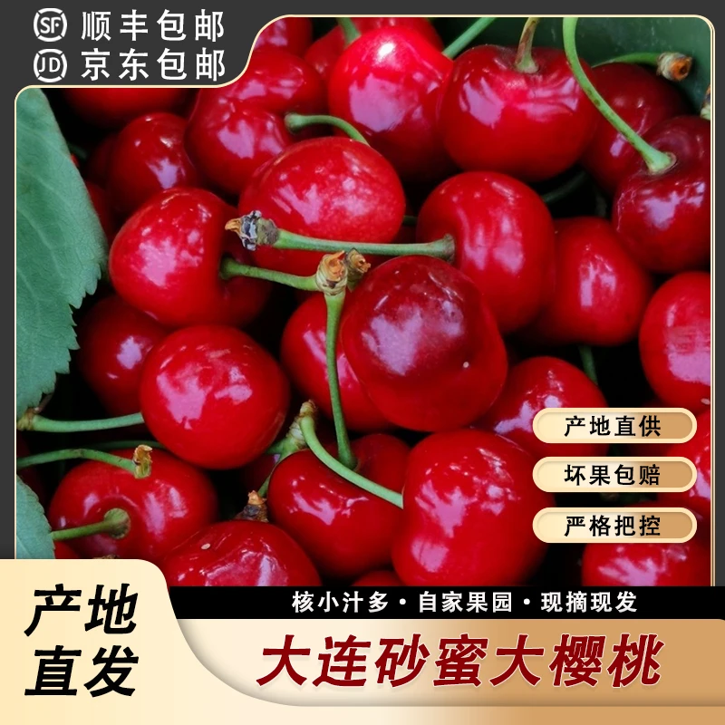 大连本地砂蜜樱桃脆甜酸甜可口香甜多汁产地直发航空发货售后无忧