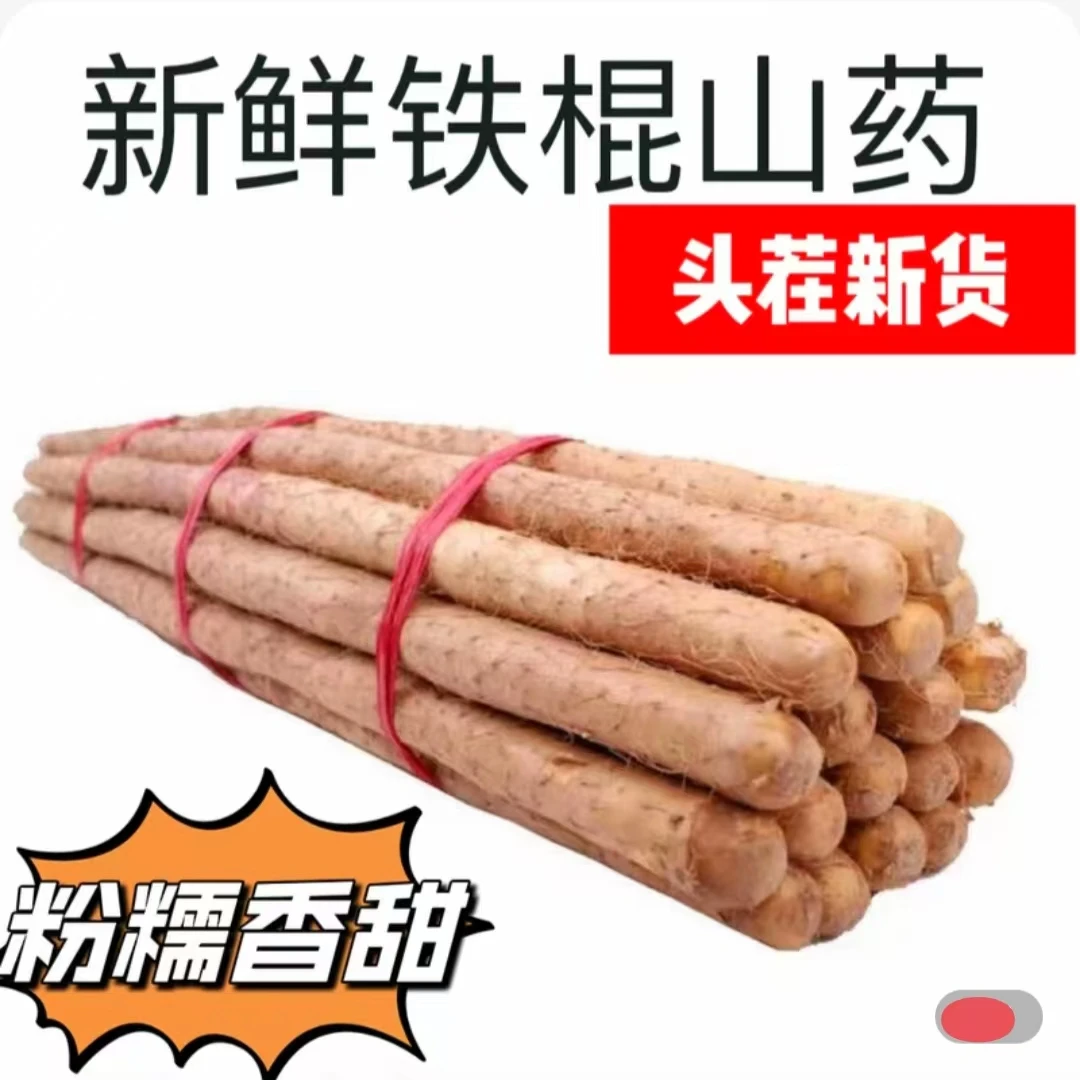 新鲜山药软糯香甜新货上市[【发5斤】无切嘴有断裂Y