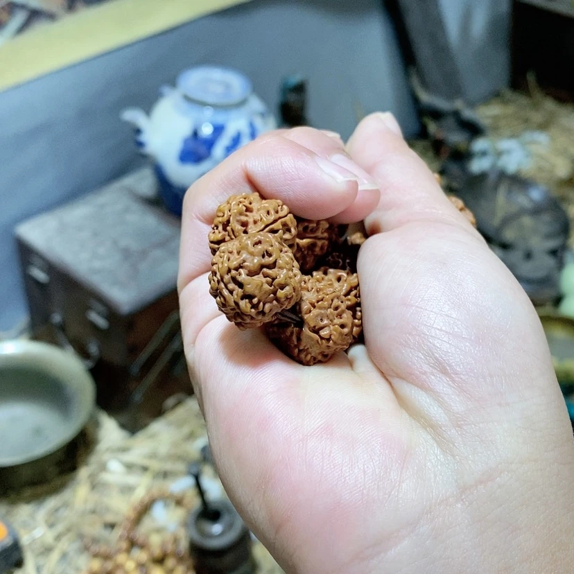 【闪购商品】紫砂111111111