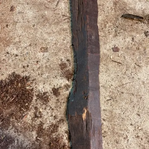 檀香紫檀(小叶紫檀)383