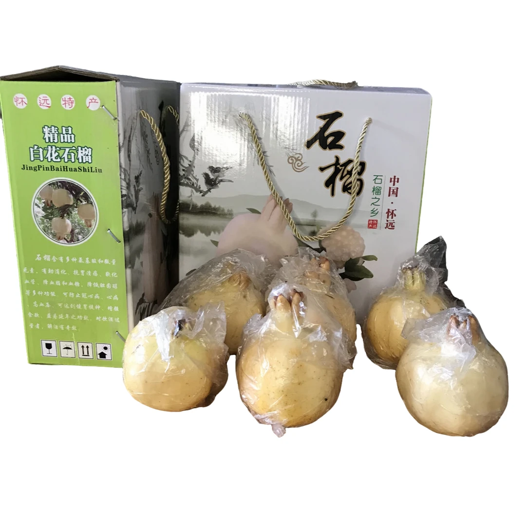 正宗怀远涂山石榴白花玉石籽石榴蚌埠特产单果七两至九两连箱五斤