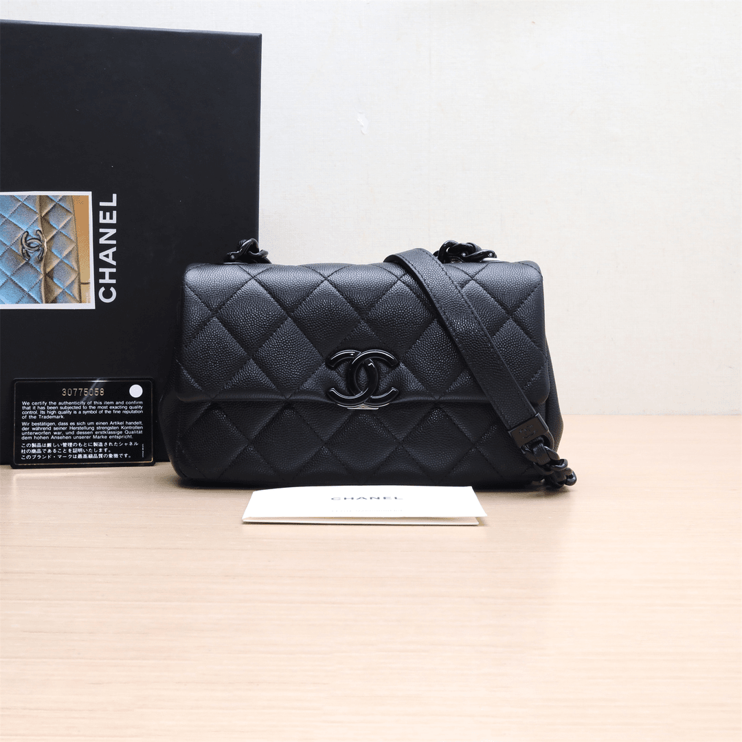 99新 Chanel/香奈儿 【小花念念】21C 口盖包 20cm 黑色 黑扣