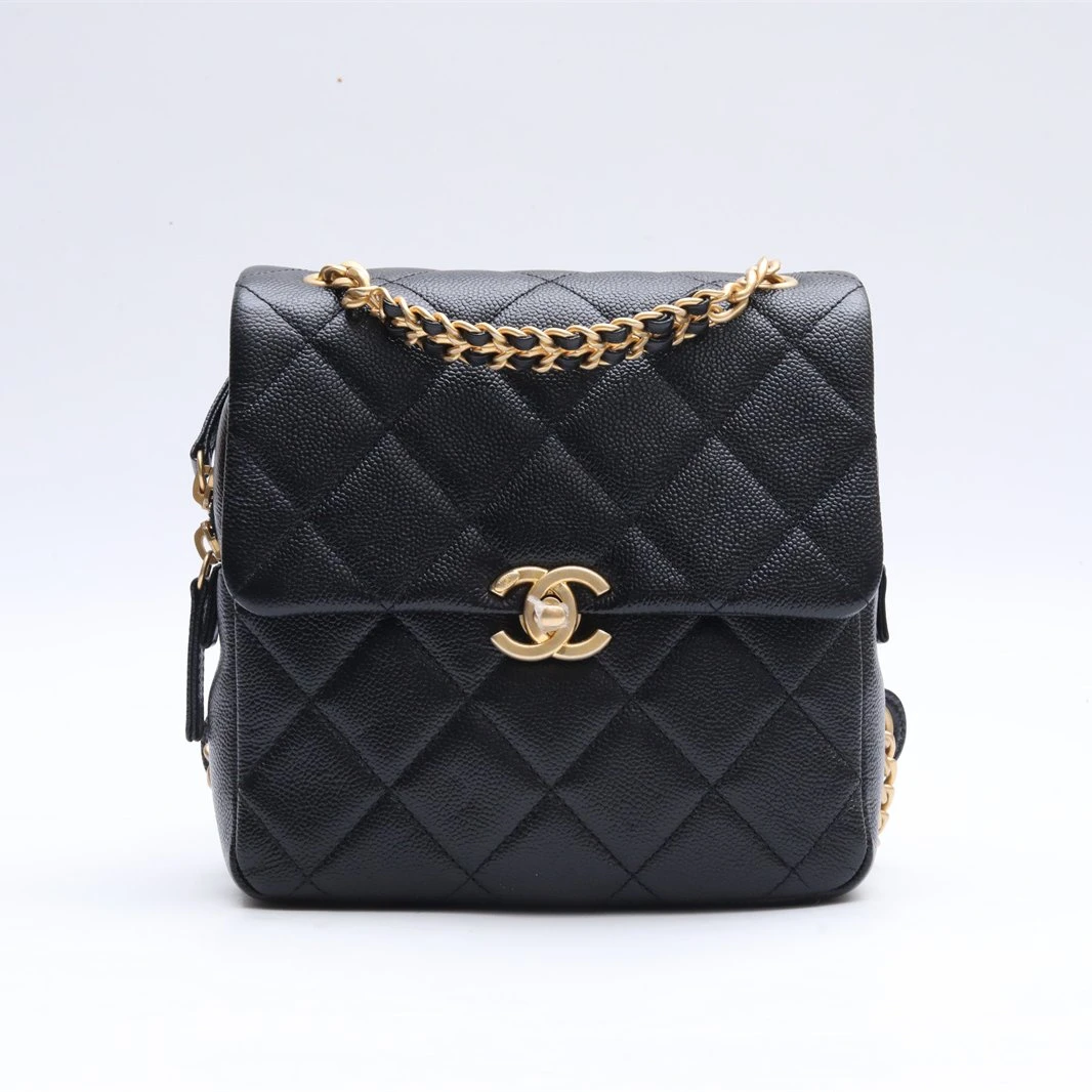 99新 Chanel/香奈儿 小花Jerry P234346673 Chanel 22p Ado双肩包
