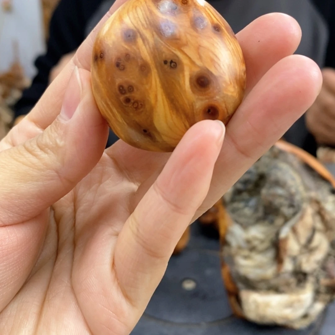 【闪购商品】崖柏1