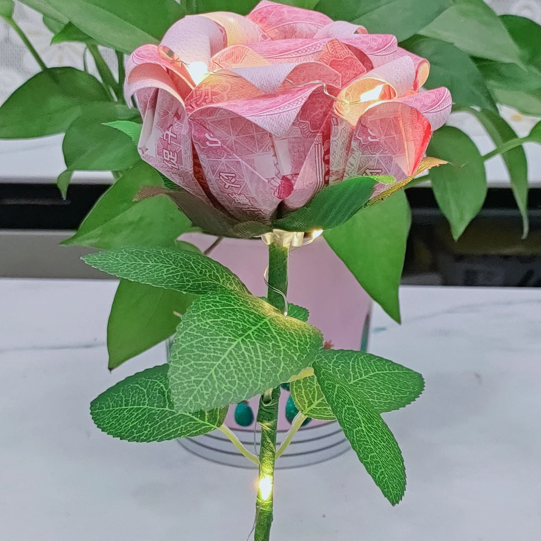 创意有钱花自制手工材料包钱花束材料diy包全套表白女友生日礼物