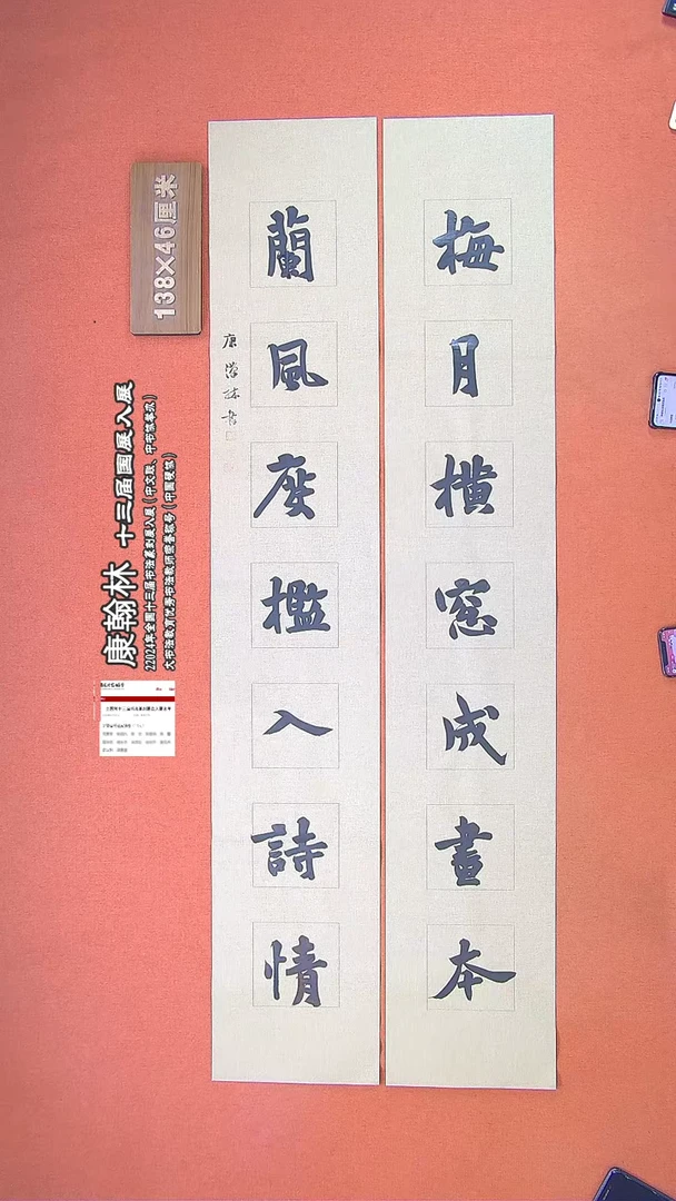 【闪购商品】书法55康汉林书法作品