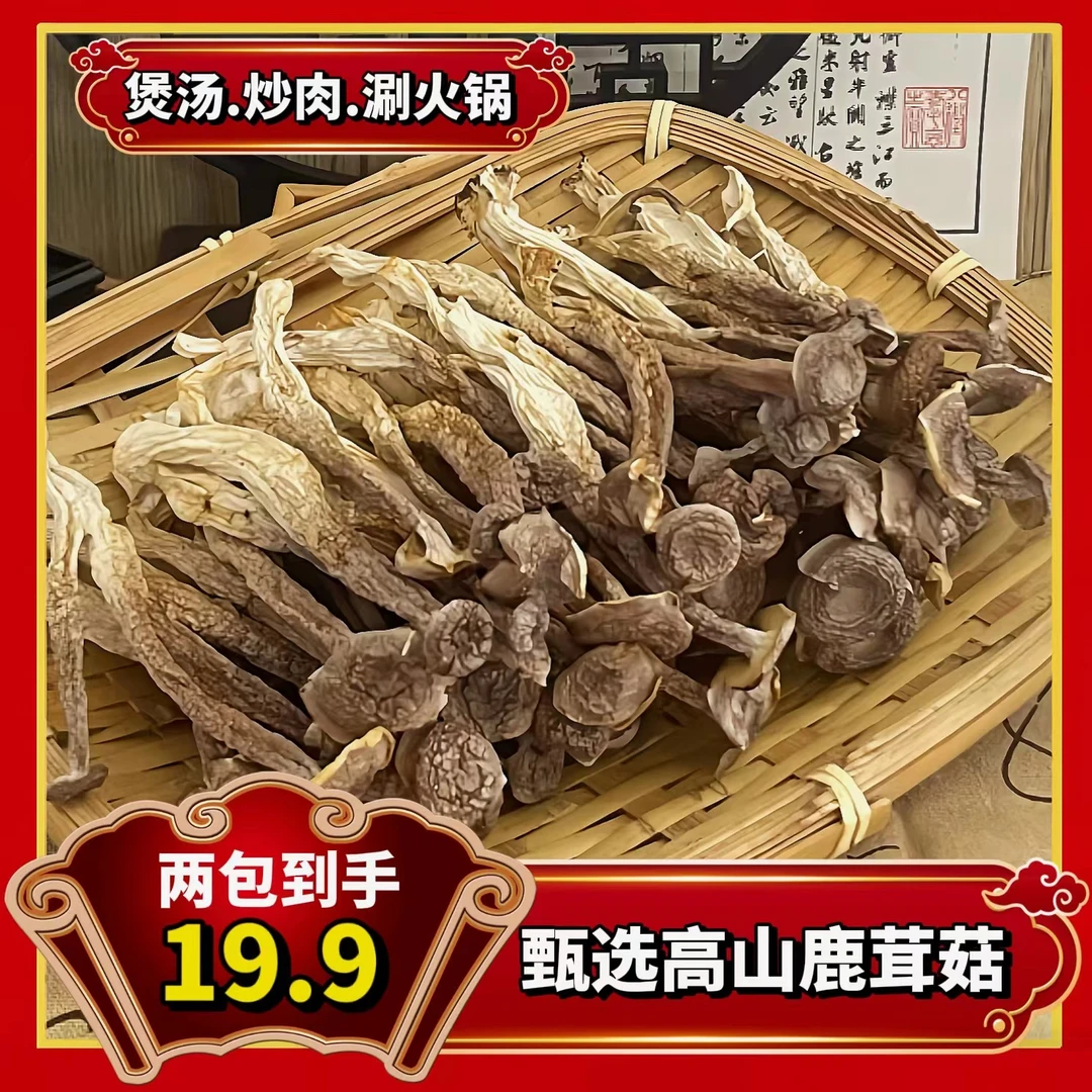 鹿茸菇  新鲜当季鲜脆天然无熏硫干货