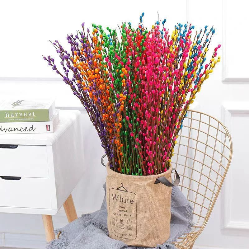 【彩色银柳】银柳真花鲜枝客厅干花摆件红色年宵花卉水培植物室内