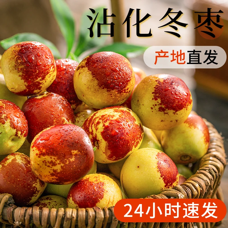 【4.8斤整箱】正宗沾化冬枣5斤一箱新鲜采摘枣子当季水果甜脆枣香甜