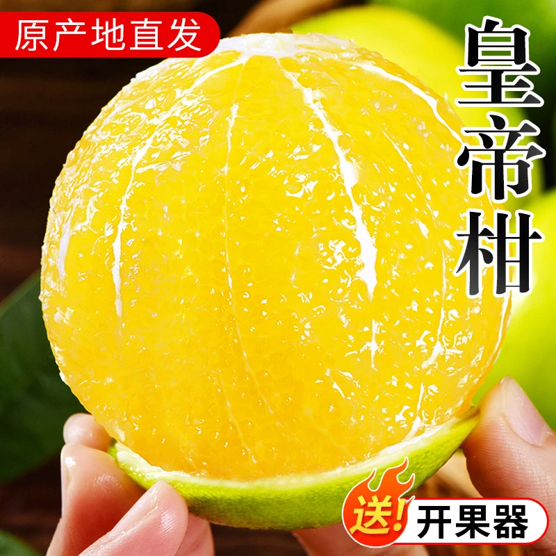 广西皇帝柑当季新鲜水果时令整箱蜜桔柑橘桔子橘子沃柑