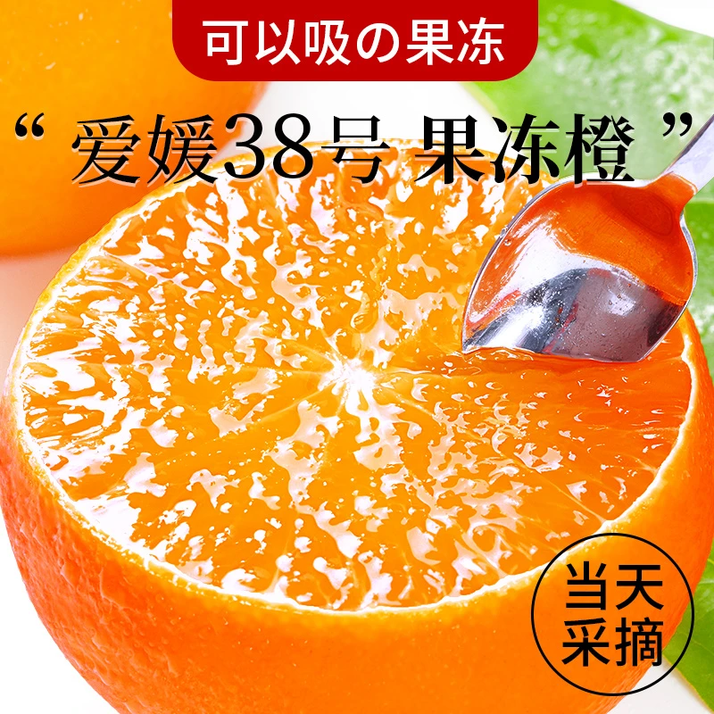 【头茬果冻橙】四川爱媛38号果冻橙当季新鲜橙子水果冰糖橙皮薄包邮