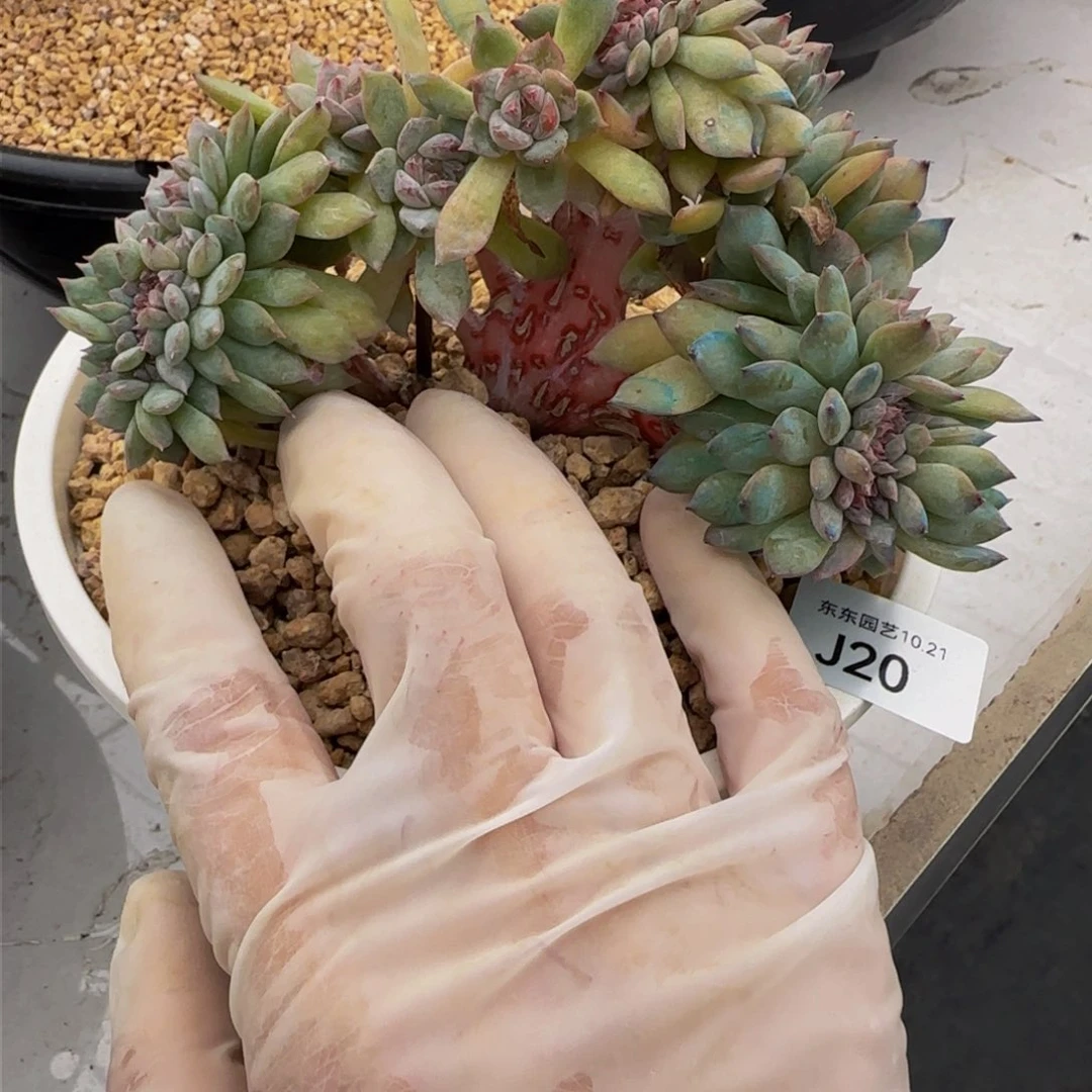 随**欲j j j j j j j j j j j 20