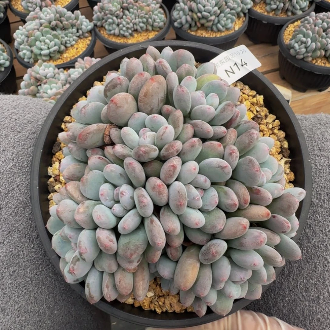 n n n n n n n 14