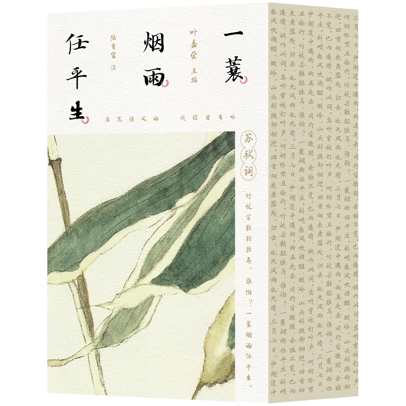 正版书 一蓑烟雨任平生全三册202首 叶嘉莹全面解读苏轼诗词宋词s