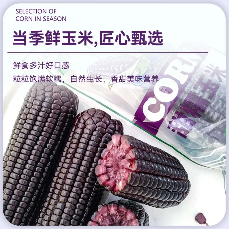 新疆黑糯玉米绿色食品甜糯玉米富含花青素健康营养早餐新鲜饱满