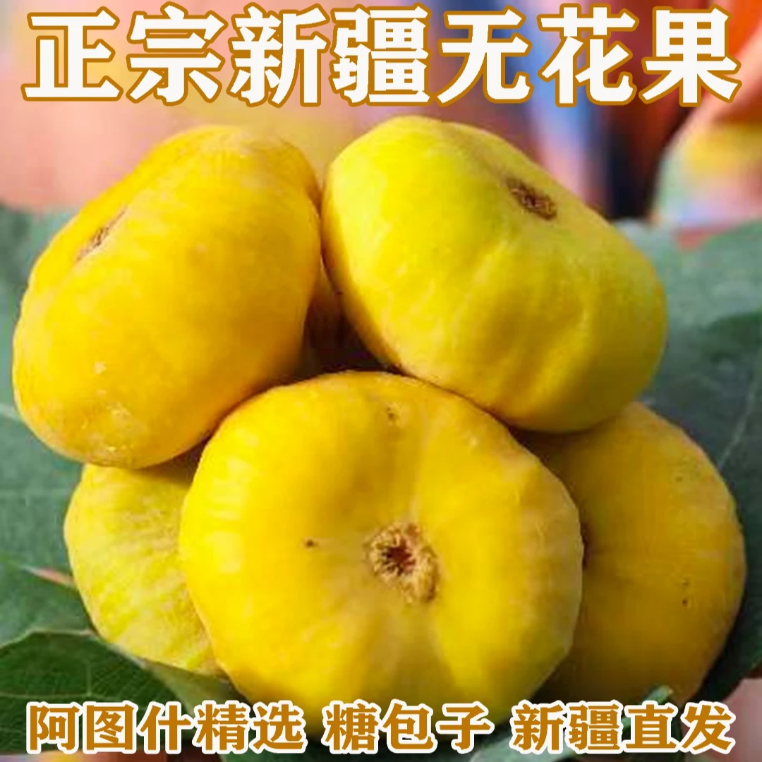 正宗新疆阿图什新鲜无花果糖包子黄皮纯甜如蜜12枚/24枚产地直发