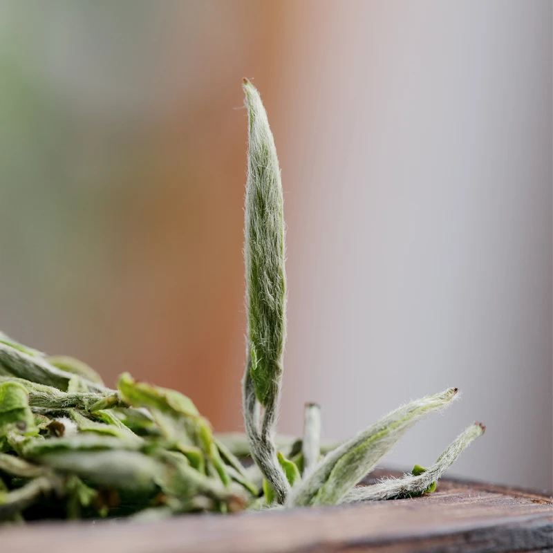 [蝴蝶夫人]25年头采头春贡眉王福鼎白茶高山荒野小菜茶50g散茶
