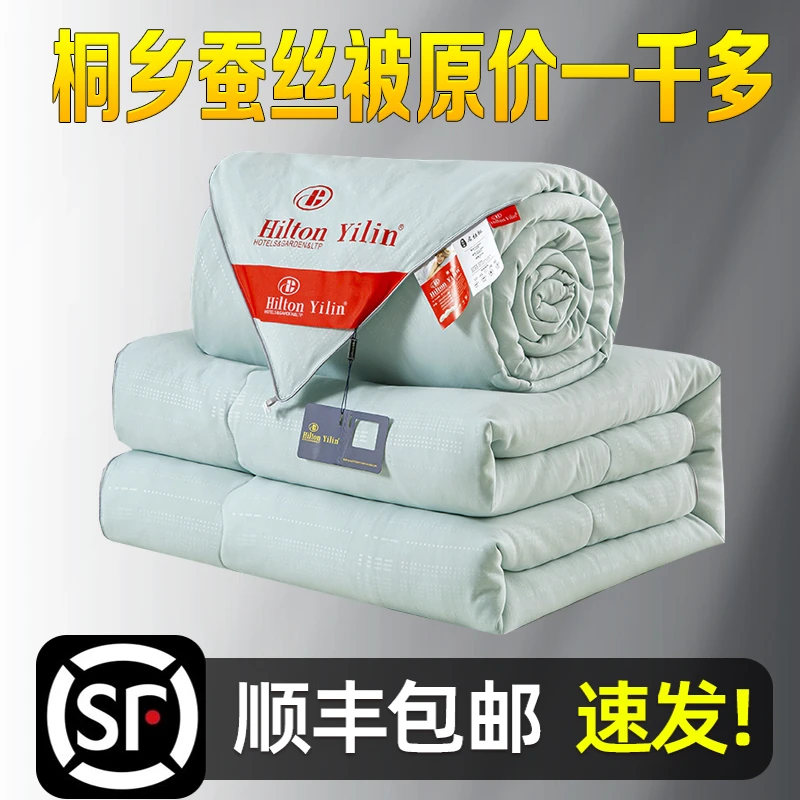 蚕丝被100桑蚕丝被子冬被加厚全棉棉被春秋冬季加厚被芯冬天保暖