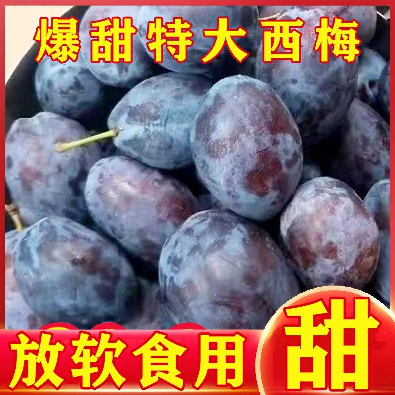 特大果5斤正宗西梅新鲜水果西梅果园采2024新鲜西梅孕妇水果包邮