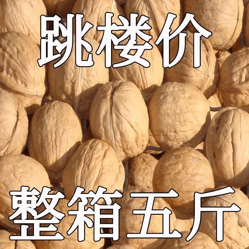 2023年特价新货新疆薄皮核桃批发坚果薄皮大核桃原味干核桃送夹子