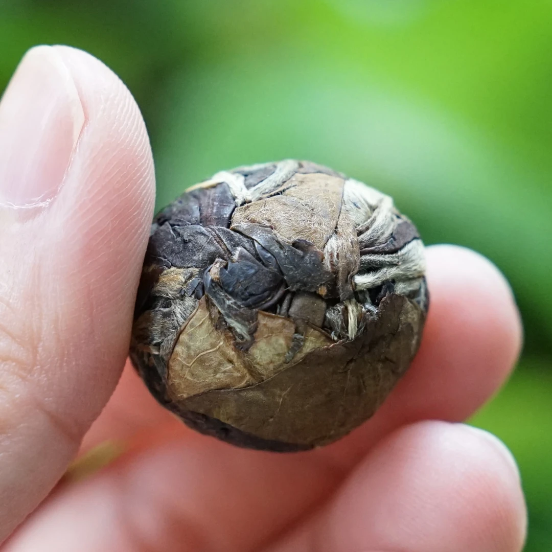 2021年云南白茶 景谷古树 环境优越 100克/盒 薄荷清凉醇厚冰糖甜