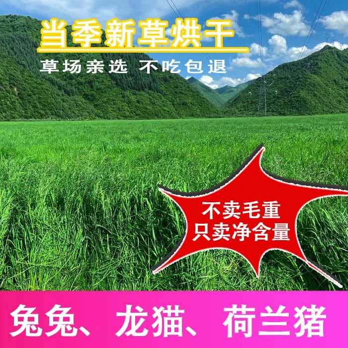 【方正草业】烘干提摩西 北提 荷兰猪 龙猫 兔兔干草饲料