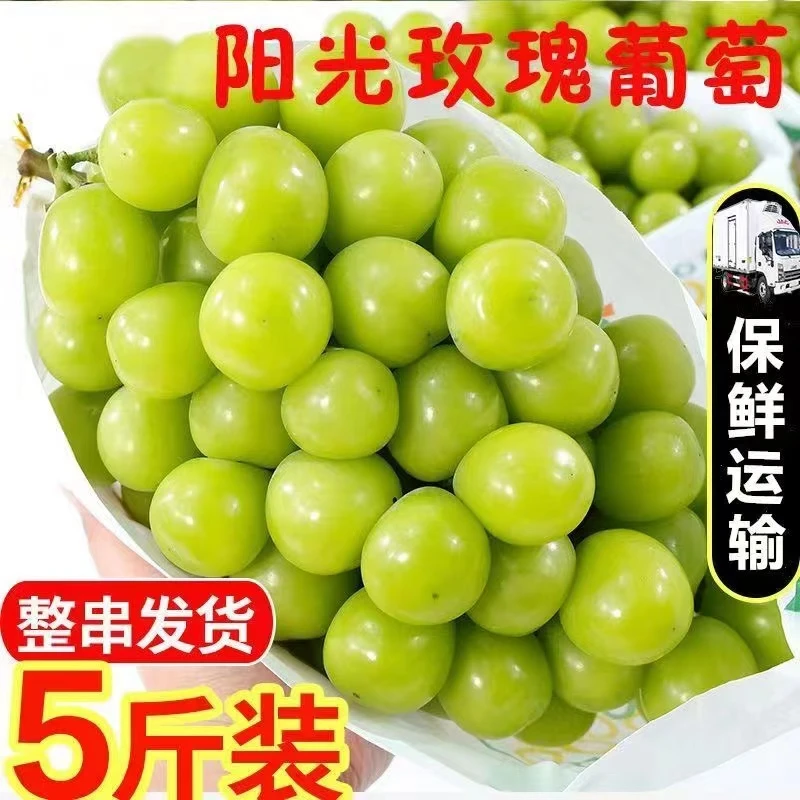【顺丰/京东包邮】高原阳光玫瑰顺丰京东包邮新鲜晴王青提新鲜水果
