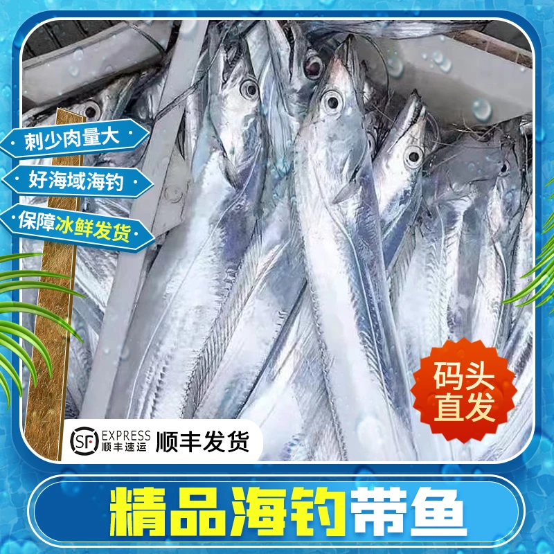新鲜东海野生大带鱼无冰冷冻鲜活超大刀鱼整条油带鱼非段海鲜水产