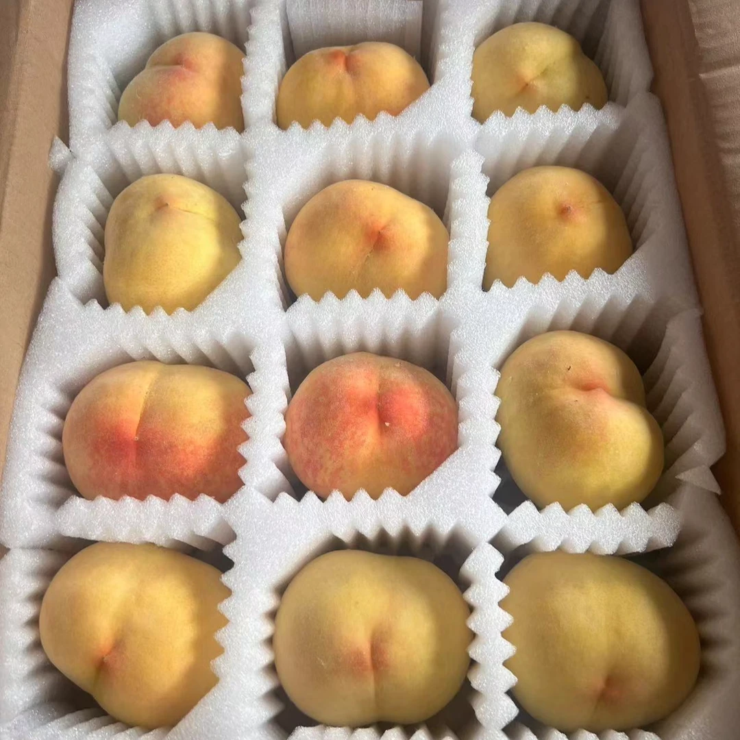 上海金山本地水果蔬菜组合