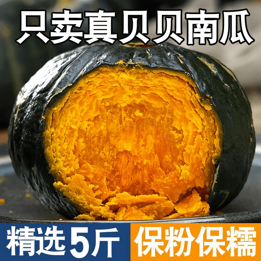 新鲜采摘沙地贝贝南瓜带箱5斤  板栗味小南瓜粉糯可口