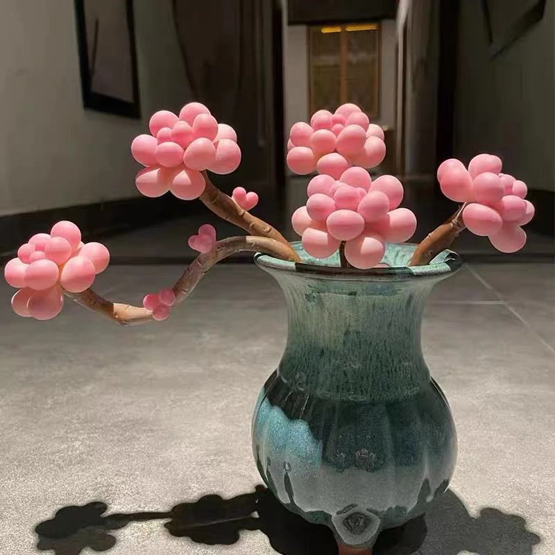 腰子蛋多肉植物【三头起发货】有砍