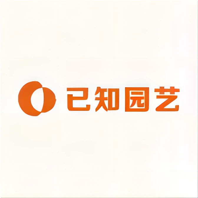 鲜花【杂花随发】蝴蝶兰室内种植观赏送礼带花发货