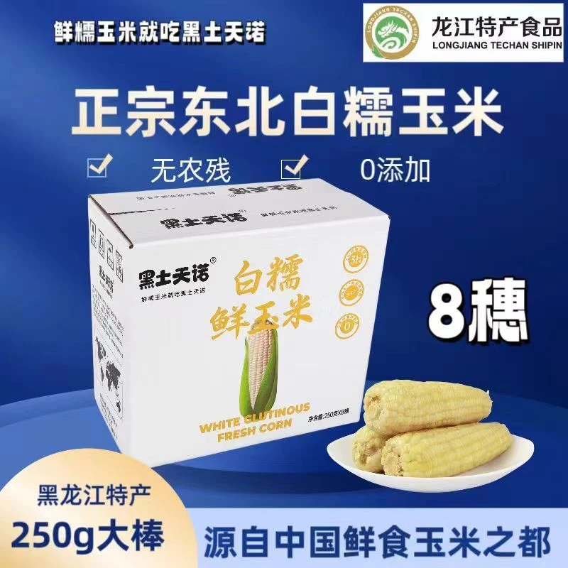 【试吃一根】21.9/8支黑土天诺白糯玉米拍6送2共8根整箱4斤左右