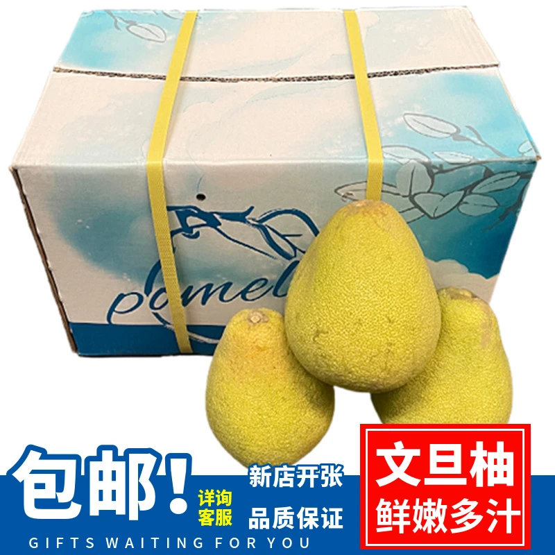 正宗台湾老树麻豆文旦柚子新鲜水果原箱礼盒12斤(9-13个)全国包邮